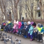 На площади Сафонова покормили голубей